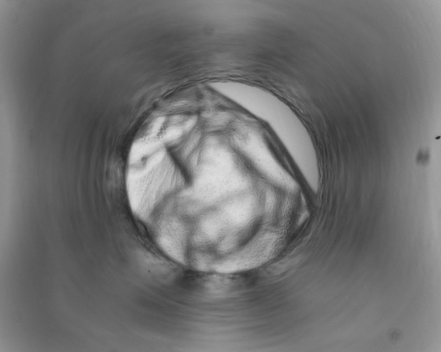 X0000090720623200708171928