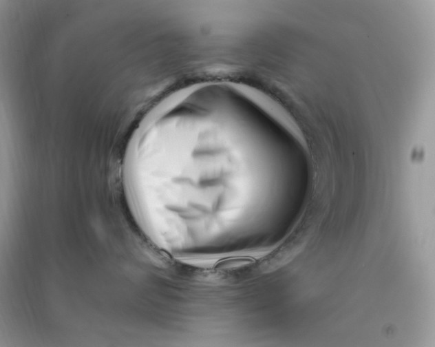 X0000090720624200708171928