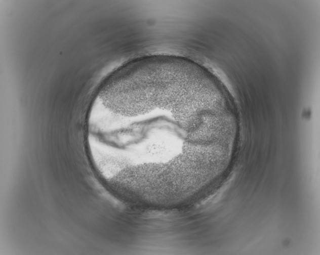 X0000090720625200708171927