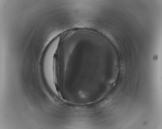 X0000090720626200708171927