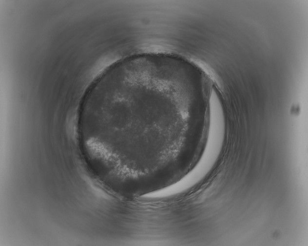 X0000090720627200708171927