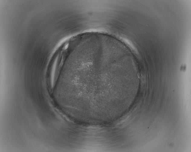 X0000090720628200708171927