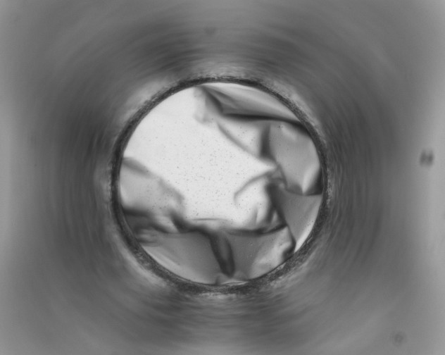 X0000090720629200708171927