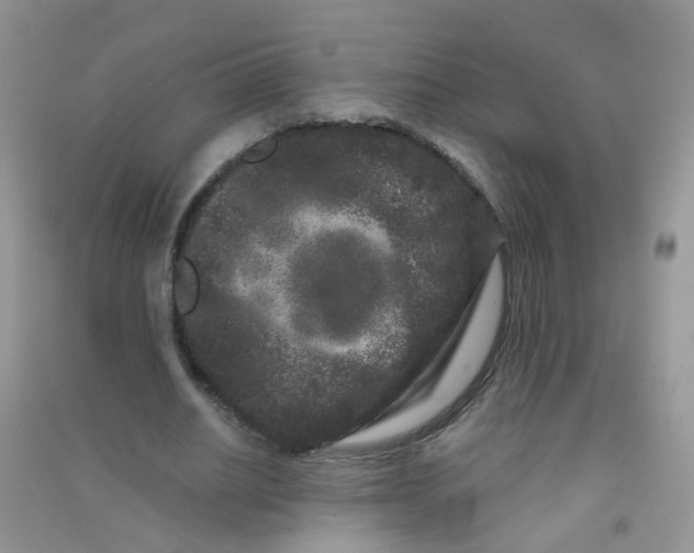 X0000090720630200708171927