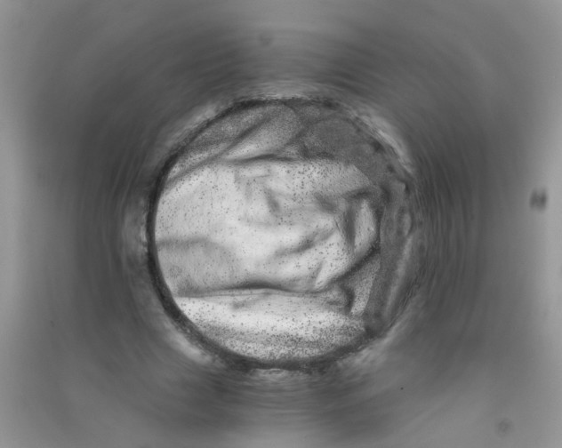 X0000090720633200708171927