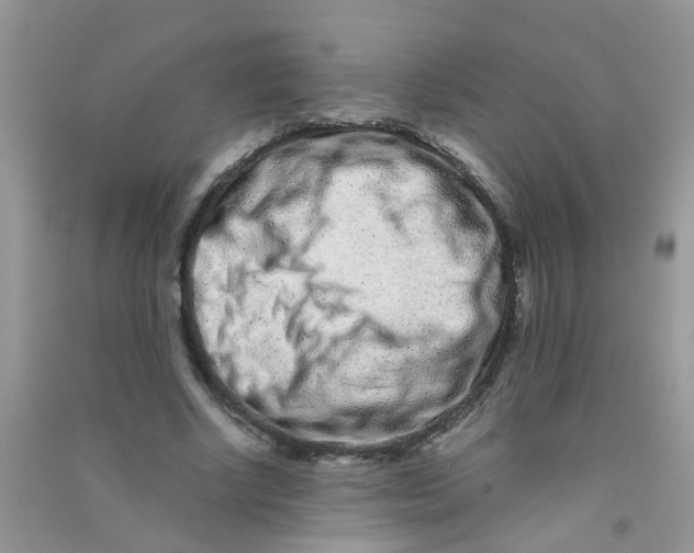 X0000090720634200708171927