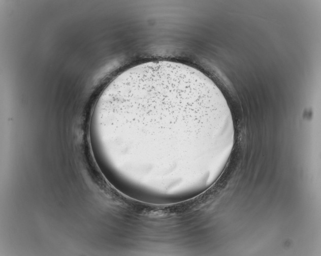 X0000090720635200708171927