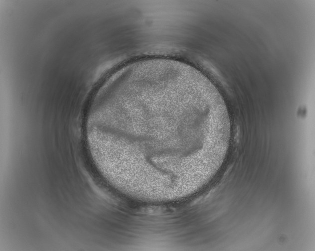 X0000090720636200708171927