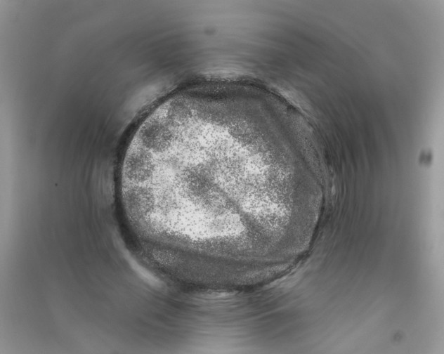 X0000090720638200708171927