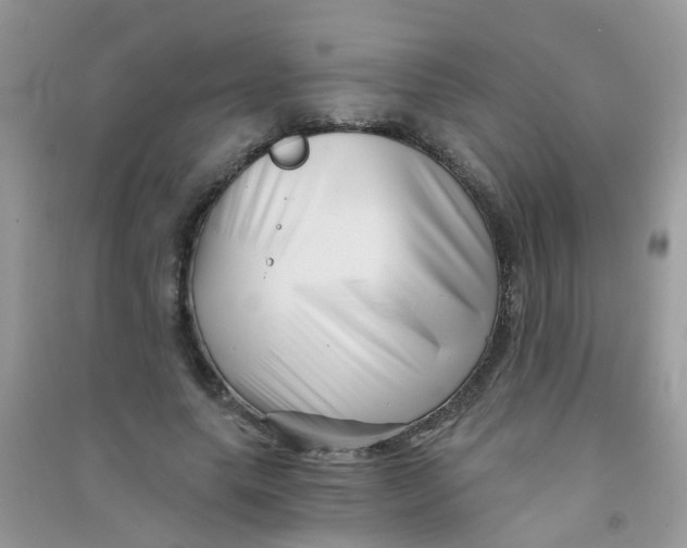 X0000090720639200708171927