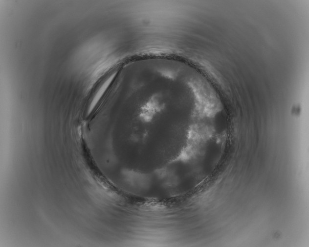 X0000090720640200708171927