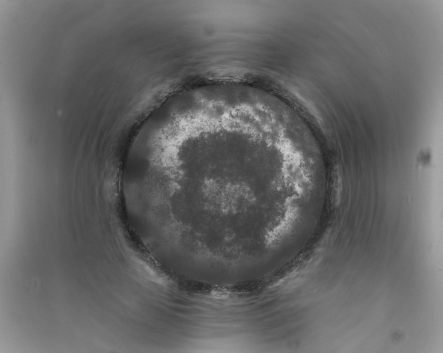 X0000090720641200708171927