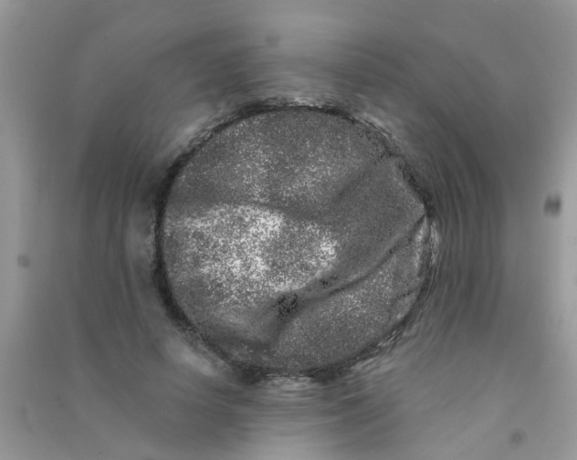 X0000090720642200708171927