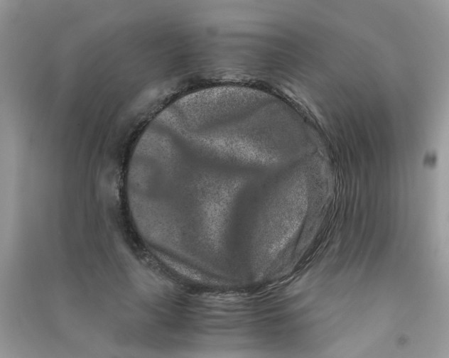 X0000090720643200708171927