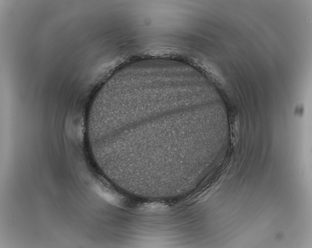 X0000090720644200708171927