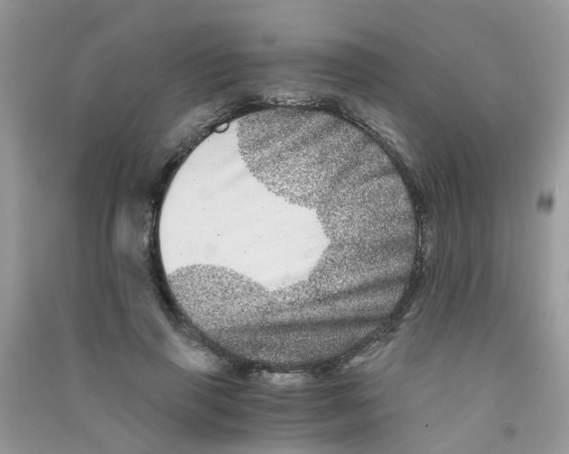 X0000090720645200708171927