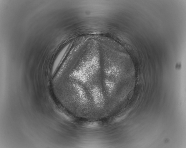 X0000090720646200708171927