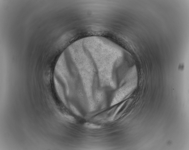 X0000090720647200708171927