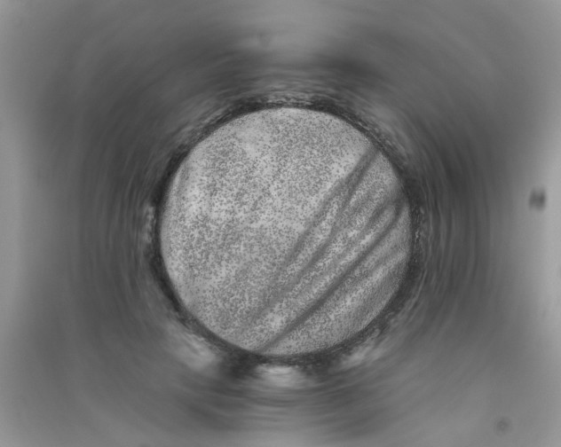 X0000090720649200708171927