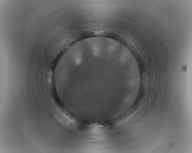 X0000090720650200708171927