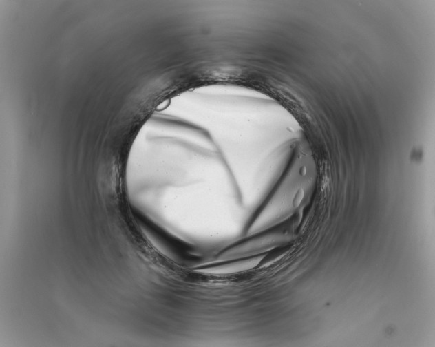 X0000090720651200708171927