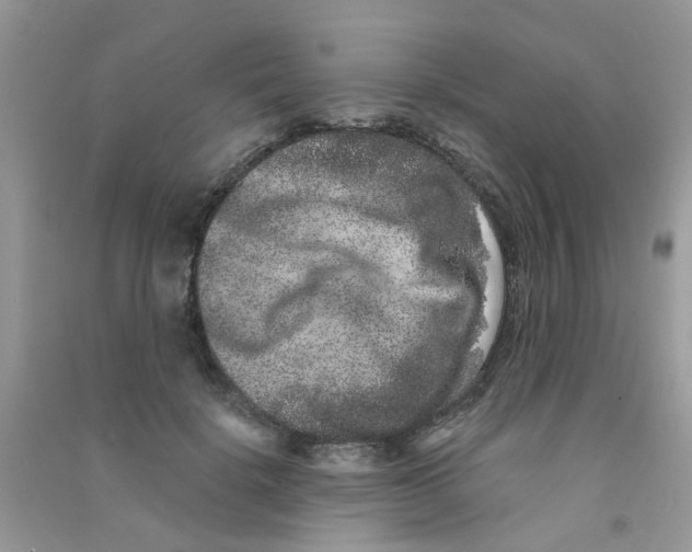 X0000090720652200708171927