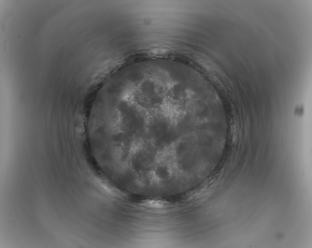 X0000090720654200708171927