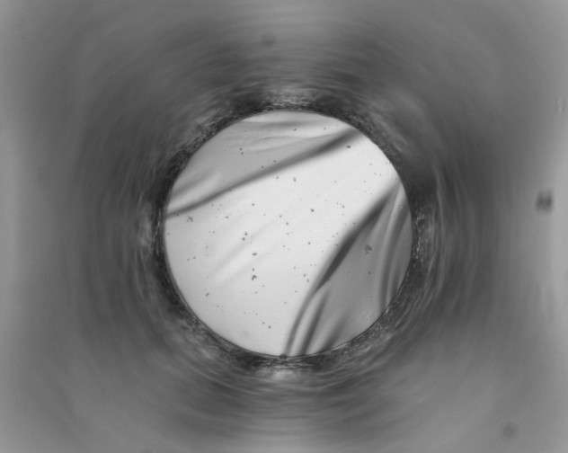 X0000090720655200708171927