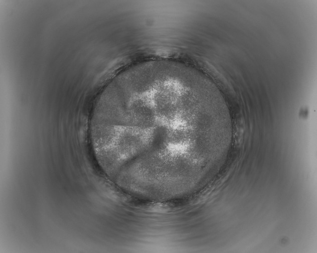 X0000090720656200708171927