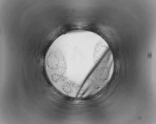 X0000090720657200708171927