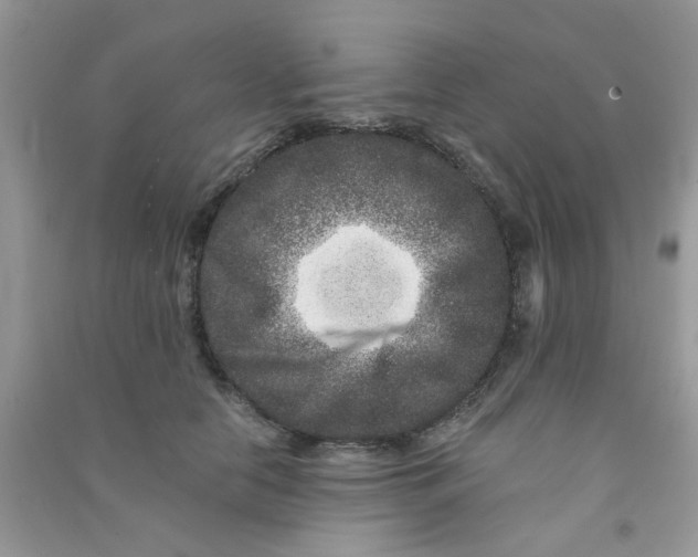 X0000090720658200708171927