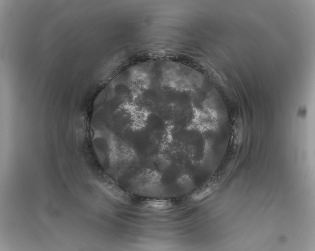 X0000090720659200708171927