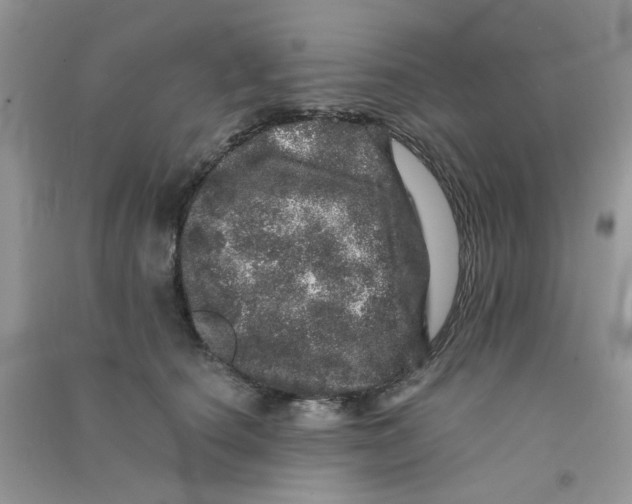 X0000090720660200708171927