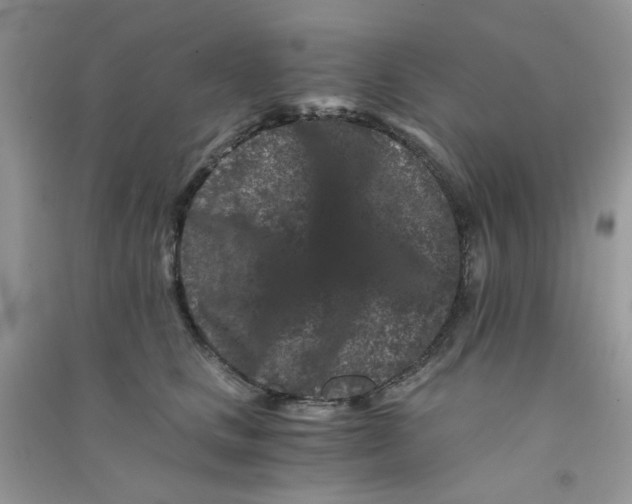 X0000090720661200708171927