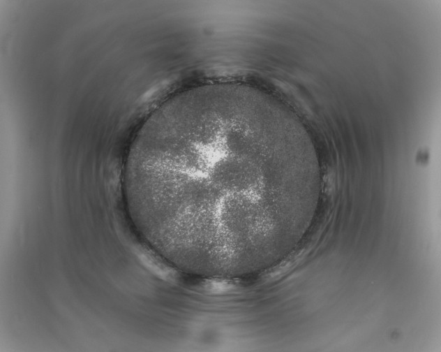 X0000090720662200708171927