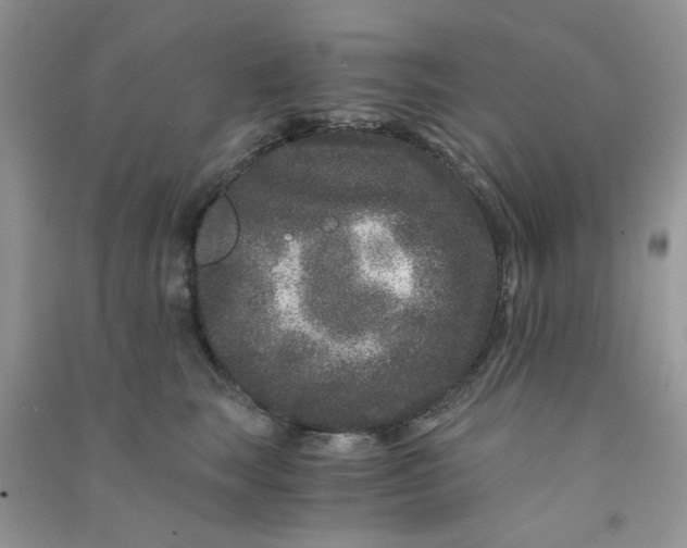 X0000090720663200708171927