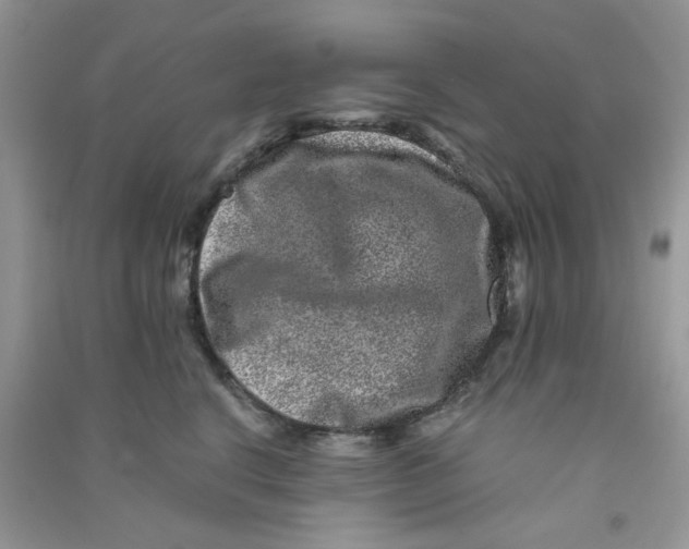 X0000090720664200708171927