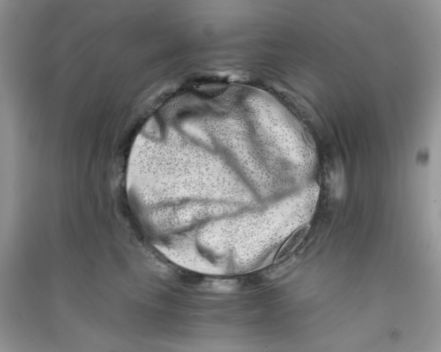 X0000090720665200708171927