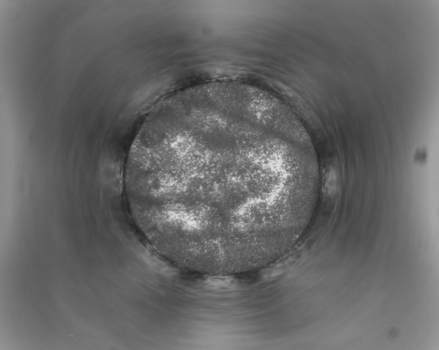 X0000090720666200708171927