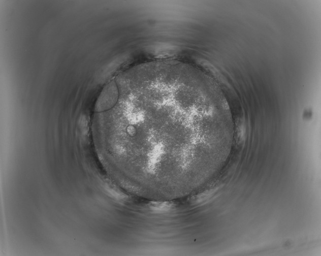 X0000090720667200708171928