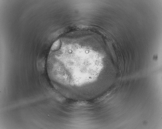 X0000090720668200708171928