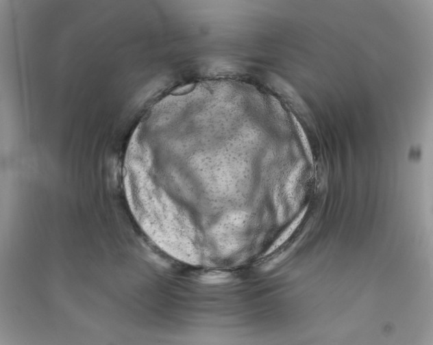 X0000090720669200708171928