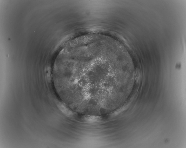 X0000090720670200708171928