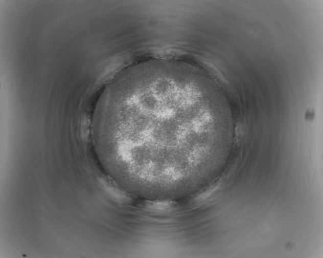 X0000090720671200708171928