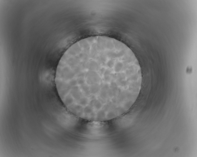 X0000090720672200708171928