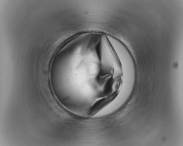 X0000090720673200708171927