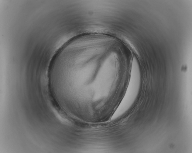 X0000090720674200708171927