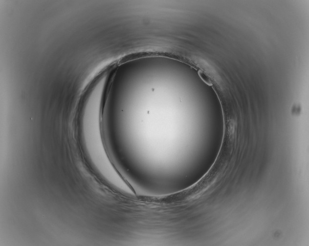 X0000090720676200708171927