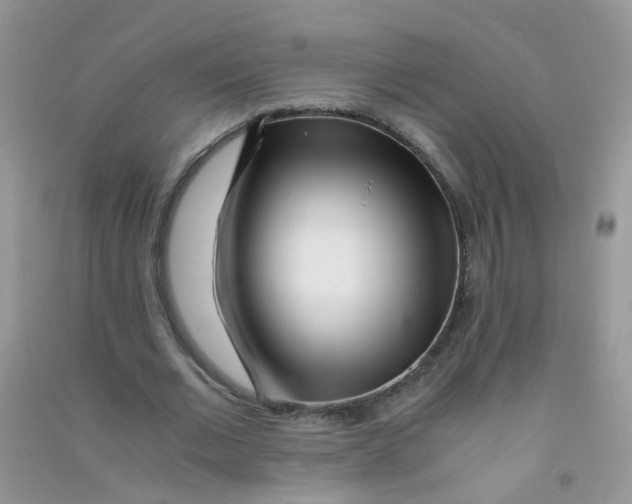 X0000090720677200708171927