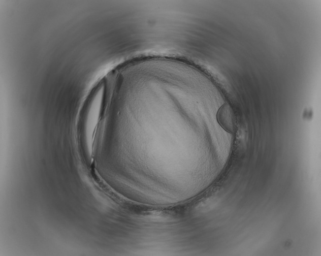 X0000090720678200708171927